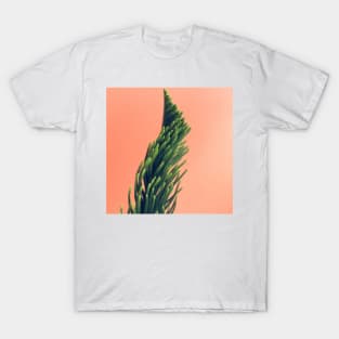 Plante de soleil T-Shirt